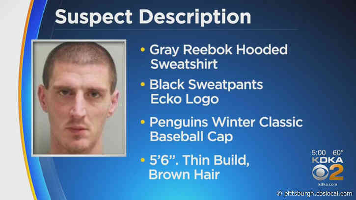 Police: Suspect On The Run After Being Punched In The Face By Clerk During Attempted Robbery