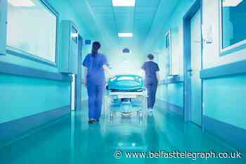 Northern Ireland hospitals record 3,000 incidences of rats, mice and insects