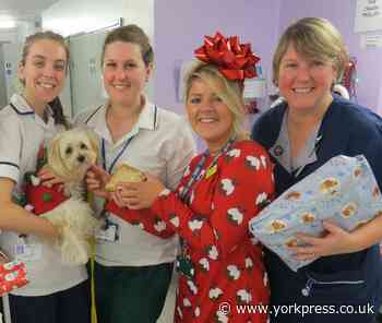 Hospital bosses thank volunteers - including the four-legged variety