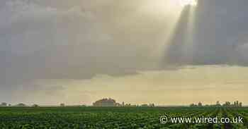 The race is on to stop the climate crisis claiming your favourite wine