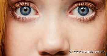 The best WIRED long reads of 2019