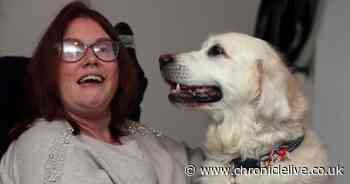 'He's brought a light into my life'- How Butler the Golden Retriever has transformed disabled owner's life
