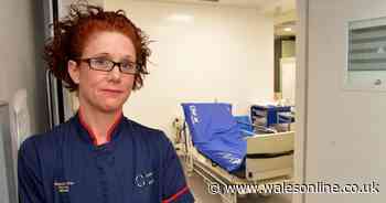 Life on the wards: Nurses awol, ambulances stuck, water coming through the ceiling and the daily battle to keep a Welsh hospital functioning