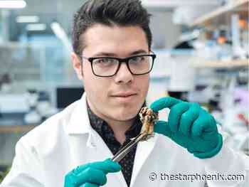 Young Innovators: Untangling clubroot disease