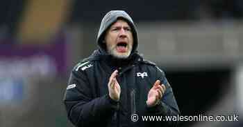 Former Ospreys boss Steve Tandy lands plum coaching job with Scotland