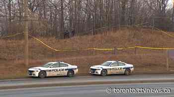 Ontario police discover human remains off highway during unrelated investigation