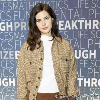 Lana Del Rey pleads for return of stolen 'family mementos'