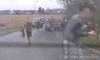 Police investigate film of man hitting van with dead fox