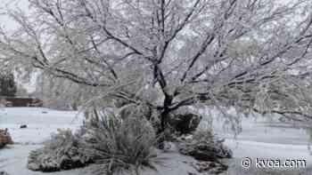PHOTOS: Snow hits parts of southern Arizona