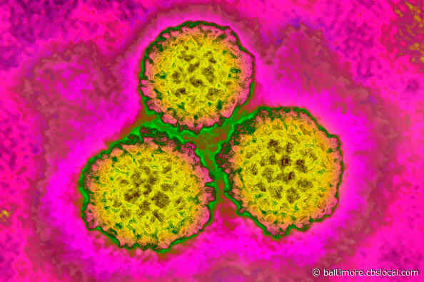 Just 1 Dose Of The HPV Vaccine May Protect Against Infection, New Study Suggests