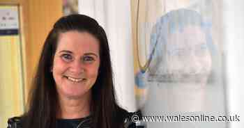 The full list of Welsh people on the Queen's New Year Honours list