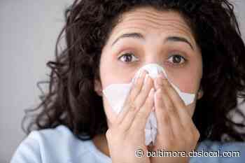 Flu Activity High And Widespread In Maryland