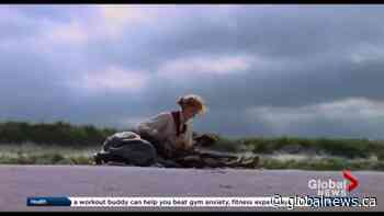 Minute at the Movies: Dec. 27