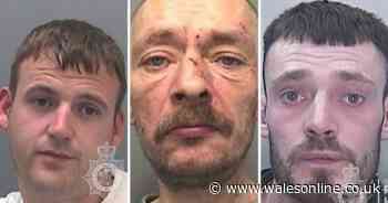 The most ridiculous criminals locked up in Wales in 2019