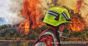 Every arson attack near where you live in Wales in the space of a year