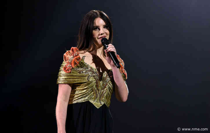 Lana Del Rey pleads for “no questions asked” return of sister’s stolen photography