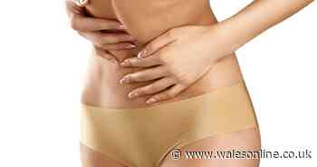 Important breakthrough made in the battle against bowel cancer