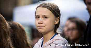 Childhood heroes 'more likely to be Greta Thunberg or Stormzy than Spiderman or Madonna'