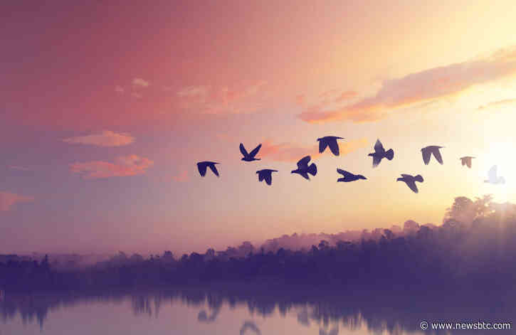 Once Bitcoin Breaks $7,650, Price Will “Fly” Higher; Here’s Why