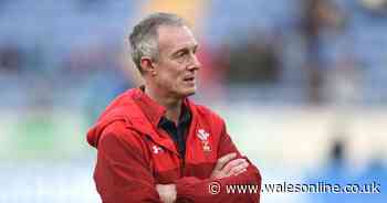 The Welsh rugby winners and losers in 2019 as English-based teen talent dazzles, but Rob Howley has an annus horribilis