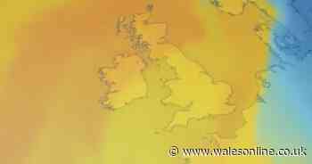 Warm weather in Wales will make it 'feel more like May or September' says forecaster