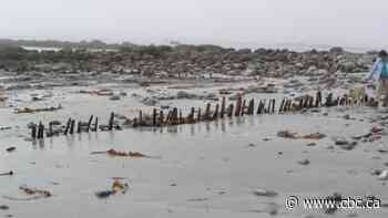 How this mysterious structure buried in the sand is now shedding light on Nova Scotia's history