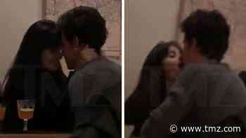 Camila Cabello and Shawn Mendes Making Out in Toronto Restaurant
