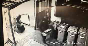 Reward offered after beef joints worth £1,000 stolen from Toby Carvery on Boxing Day