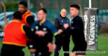 Crisis-hit Ospreys want Mike Ruddock to stay and take up permanent new role as part of coaching revamp