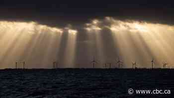 Some reasons for (cautious) optimism on the climate change front in 2020