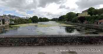 Jogger left fighting for their life after being hit by car on Christmas Day dies