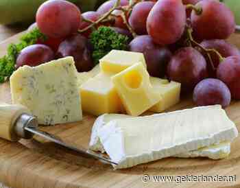 Poepbacterie E. coli in brie van de Lidl