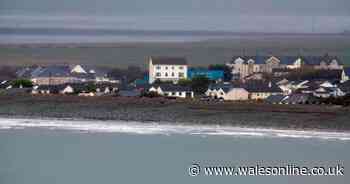 Man charged with murdering woman on Christmas Day