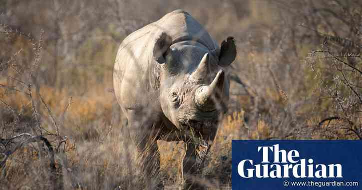 'World's oldest' rhino dies in Ngorongoro sanctuary in Tanzania