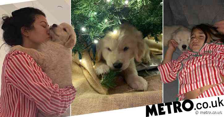 Kourtney Kardashian serves savage clapback to troll over criticism she ‘gets rid of her dogs’ as family welcomes new puppy for Christmas