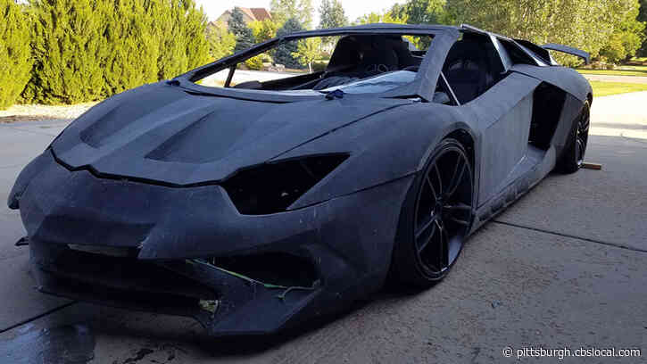 Family Surprised By Lamborghini While Building 3D Replica