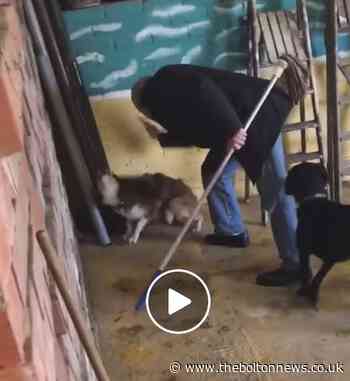 Warning - distressing footage: Videos show man 'slapping' and 'beating' dogs at Mucky Pups doggy day care centre in Rishton