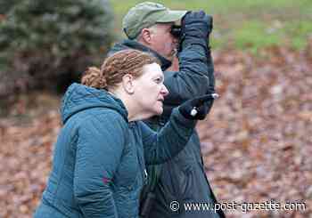 Out for the count: Western Pa. birders fan out for annual avian census