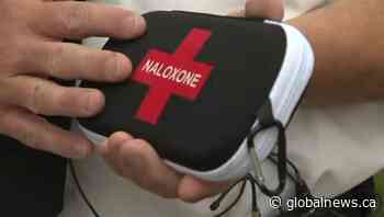 ‘Naloxone saves lives’: Drop in number of fentanyl-related deaths in Alberta