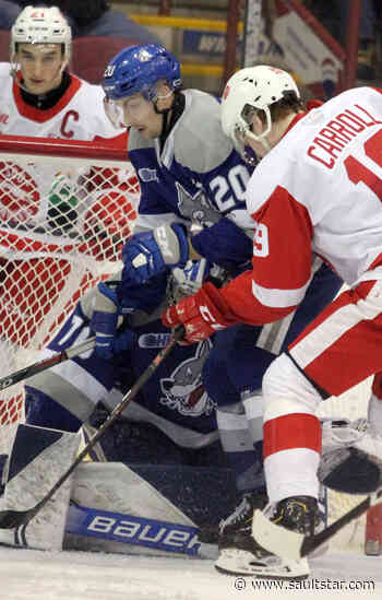 Hounds get last bite: GALLERY