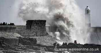 The 2019 weather statistics that definitely aren't normal