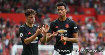 Ex-Liverpool star and Man Utd legend make eyebrow-raising Daniel James suggestion as new talent emerges