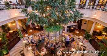 The bars and restaurants that are set to open in Cardiff in 2020