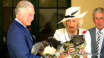 From Ireland to New Zealand: Royal tours across the past decade