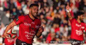 Rhys Webb set to leave Toulon at the end of this season to join the Ospreys or Dragons - reports