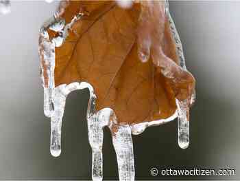 Weather: A winter triple whammy of snow, ice pellets and freezing rain