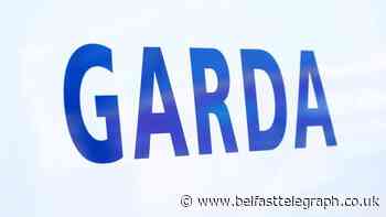 Garda probe after partially dismembered body discovered in Cork