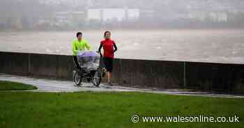 Drive-in cinema, muscle beach gym and monorail put forward as ideas for developing Swansea Bay sites