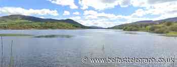 Dog tied up with red Christmas ribbon and drowned in Co Down lough