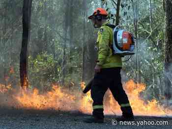 Photos of a koala hospital in Australia show just how devastating recent bushfires have been for the iconic marsupial
